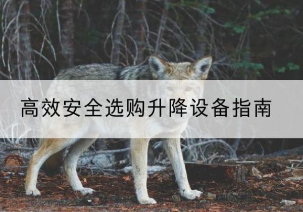 呈贡升降货梯厂家推荐-*安全选购升降设备指南