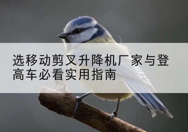 呈贡电动升降机厂家-选移动剪叉升降机厂家与登高车必看实用指南